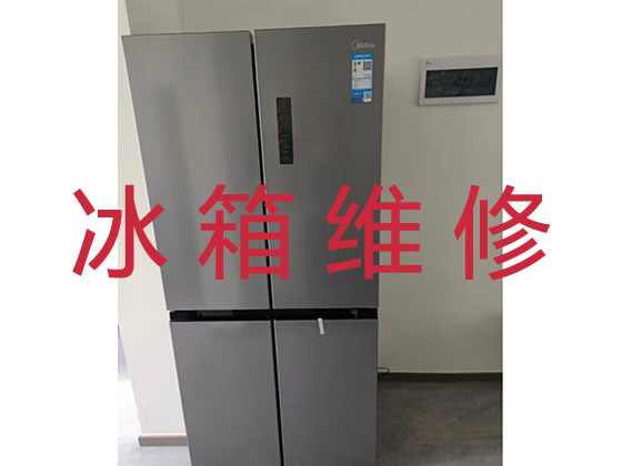 台州专业冰箱安装